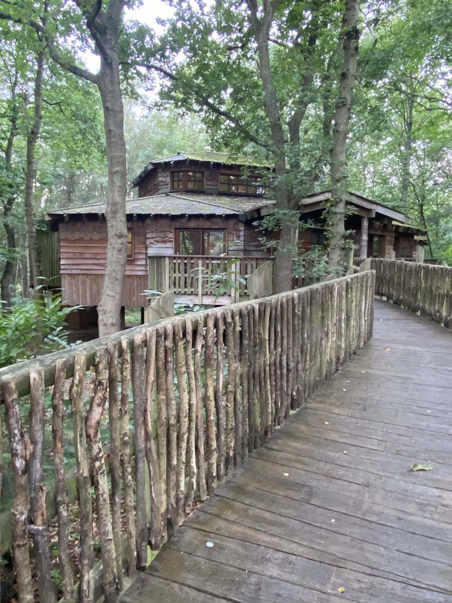 sharon atkinson tweet media