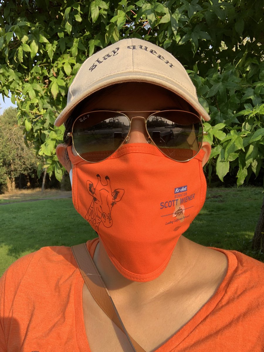 Pandemic mask game: 💯. SF: vote to re-elect state Senator <a href="/Scott_Wiener/">Senator Scott Wiener</a> 🦒 on/before November 3. Everyone: vote as early as you can. Make the plan now! #election2020
