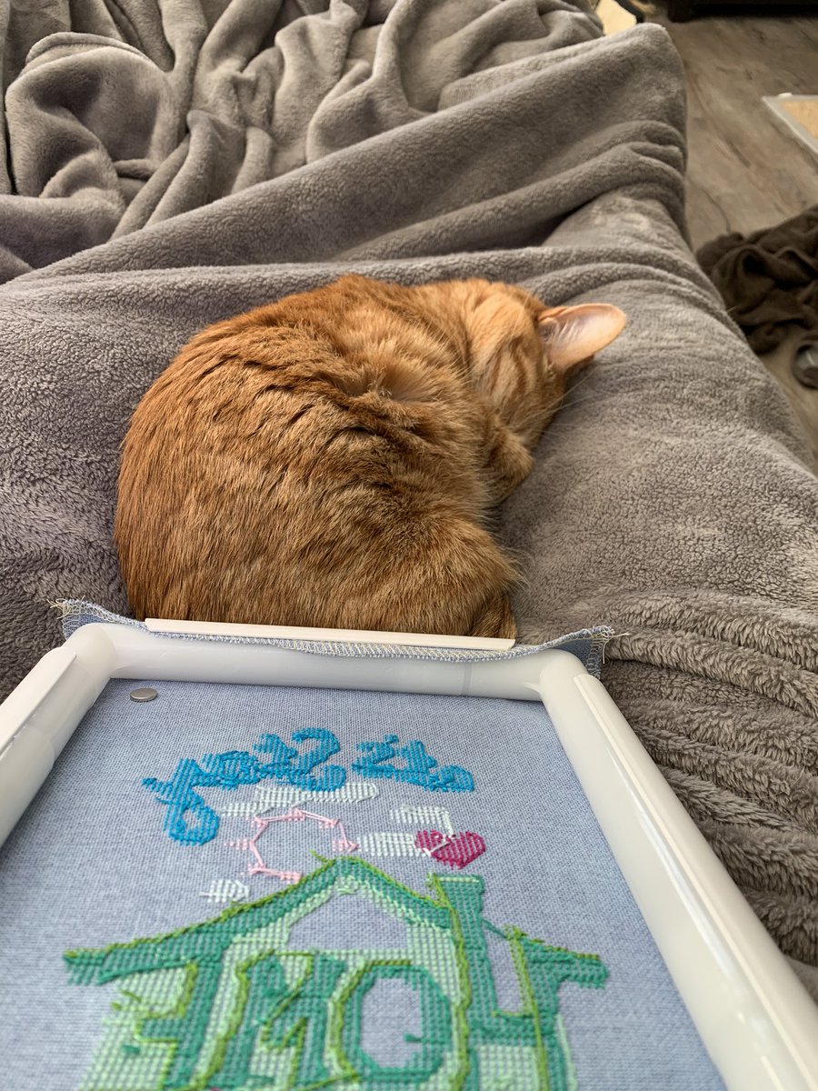 adolwyn's tweet image. Best labour day Monday ever. A snuggly blanket, a sleepy kitten (I mean, she’s actually an old cat but...), a fantastic @tweetsinpajamas beside me, and some cross stitch. 😍 Meal prepping is done, muffins are baked, chilli is cooking in the slow cooker. #HappyAndContent