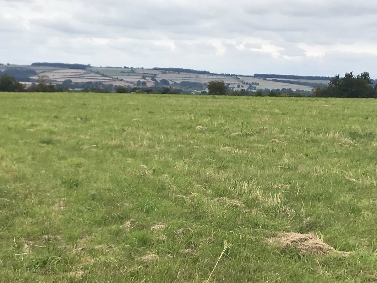 Tracie_a's tweet photo. First full day of our #staycation in the #Cotswolds getting #outdoors and loving it, #publunch included obvs https://t.co/kMNYr2vf8x