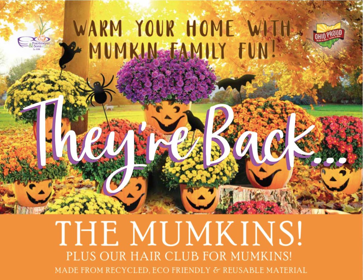 AngFetter's tweet photo. THEY’RE BACK...

Please consider supporting Tristan &amp; his school!  The Fetter Tribe will deliver...sale ends 09/19/20!

Don’t delay get your fall mumkin’s today!  

Here’s the link ⬇️🎃🧡

https://t.co/2R8cXVoWAQ https://t.co/WxlZmkrjXG
