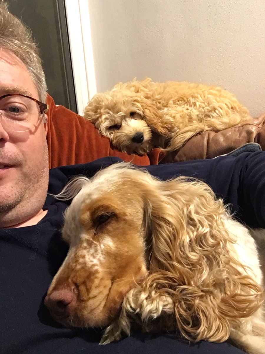 pauljonesking's tweet photo. Think they are comfortable #dogslife #roancottage https://t.co/7RoNfyHiin