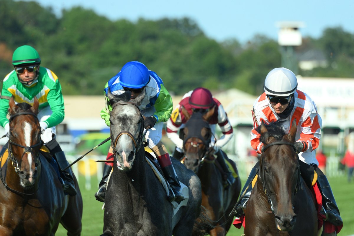 #DoctorMounty and #ForestBoyce win the $100,000 Henry S. Clark Stakes! #MJC