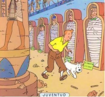 ivancarabantes9's tweet photo. Las aventuras de #titin !
#100 #vanchi #gracias https://t.co/4XTnpUAowR