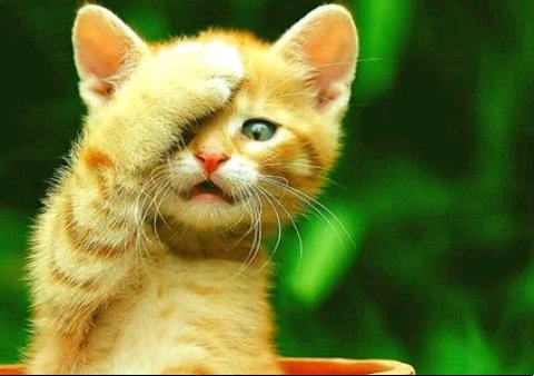 GA0S's tweet photo. Apa pendapat sanak? Berinfaq tapi riya, dari pada tidak sama sekali berinfaq?... https://t.co/cig8E8OkL3