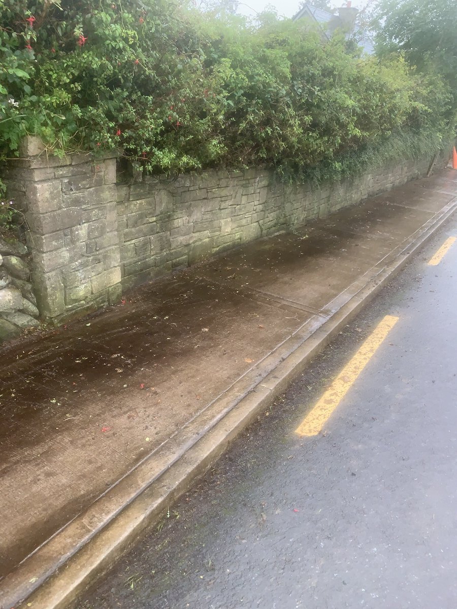 TidyAg's tweet photo. Wet but some of the team were out clearing road and wall weeds. Working at social distance and under HSE guidelines we left the place a bit better than it was #annascaultidytownsAG #tidytownsAG #annascaultidytownsactiongroup #supervalu https://t.co/VVuwLCMYEn