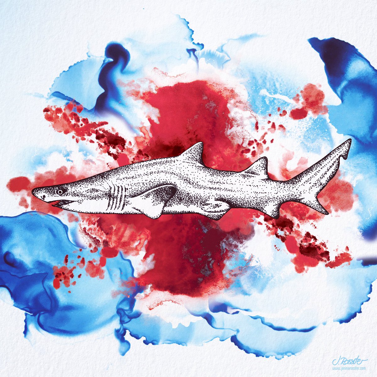 🇬🇧 ban the importation of #SharkFins🦈

✍️ 
petition.parliament.uk/petitions/3005…

@SharkGuardian1 <a href="/MeganMcCubbin/">Megan McCubbin</a> <a href="/WorldOceansDay/">World Ocean Day</a> <a href="/Bluemarinef/">Blue Marine Foundation</a> <a href="/London_Lady/">Lisa Pattenden Aurora Chaser 🌏 ⭐</a> <a href="/Stevewal63/">Steve Waldron</a> <a href="/tblackTAB/">Tim Black 🌍</a> <a href="/waddells74/">TheWaddells74</a> <a href="/KeepBritainTidy/">Keep Britain Tidy</a> <a href="/SteveBackshall/">Steve Backshall</a> <a href="/ActionNan/">Action Nan</a> <a href="/TheOceanaut/">TheOceanaut</a> <a href="/dpcarrington/">Damian Carrington</a> <a href="/ellencuylaerts/">Cuylaerts</a> @natureofalex