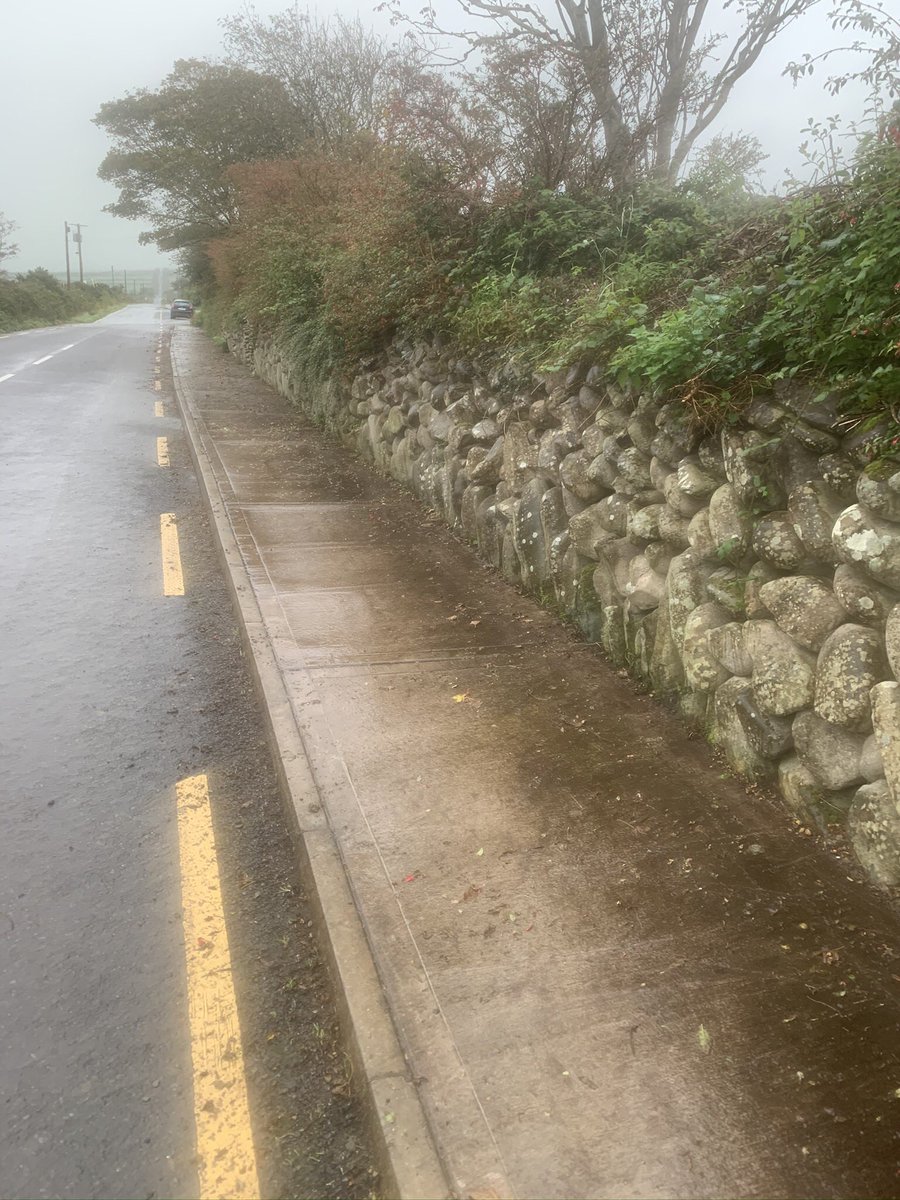 TidyAg's tweet photo. Wet but some of the team were out clearing road and wall weeds. Working at social distance and under HSE guidelines we left the place a bit better than it was #annascaultidytownsAG #tidytownsAG #annascaultidytownsactiongroup #supervalu https://t.co/VVuwLCMYEn