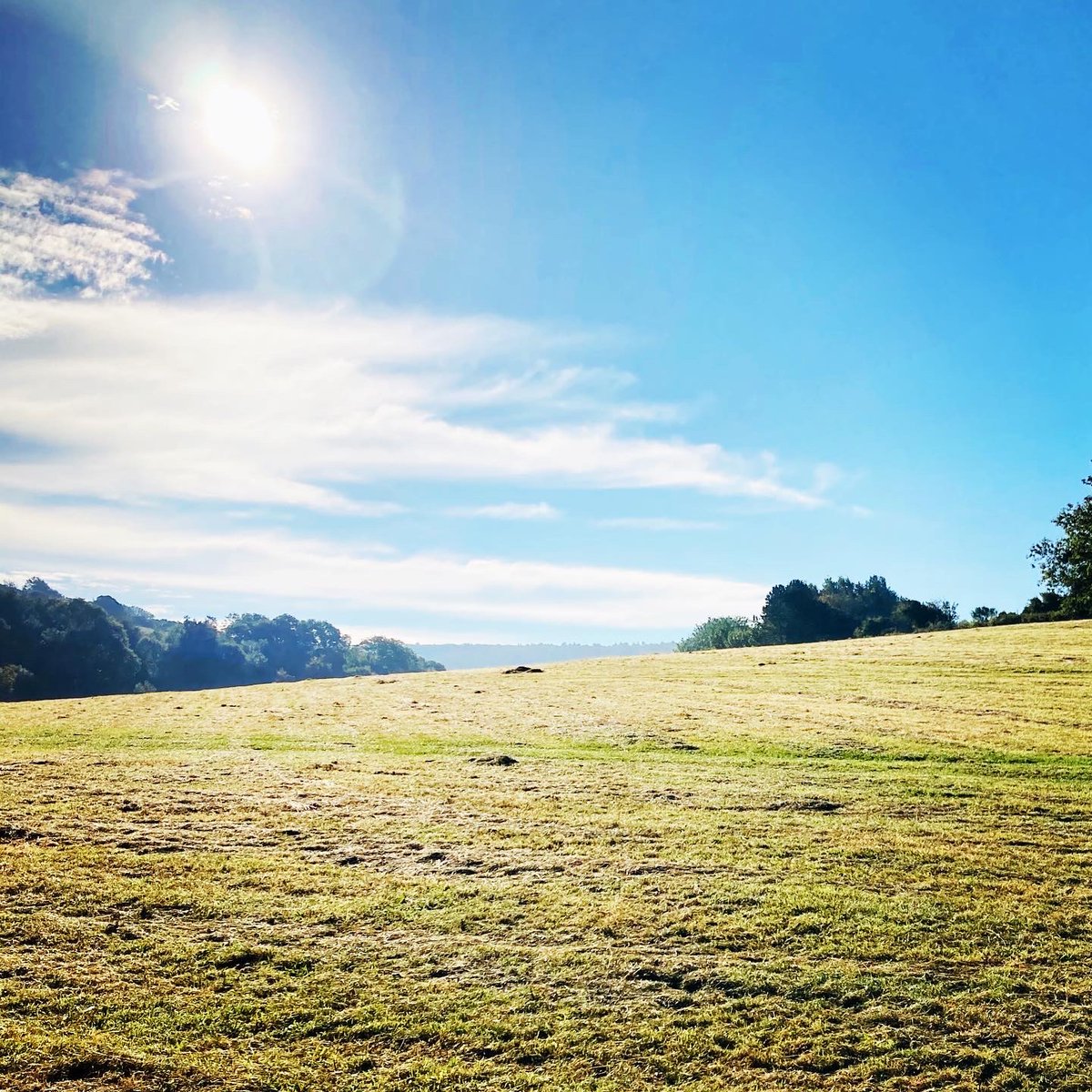 foundbysound's tweet image. Today’s hunt 😎