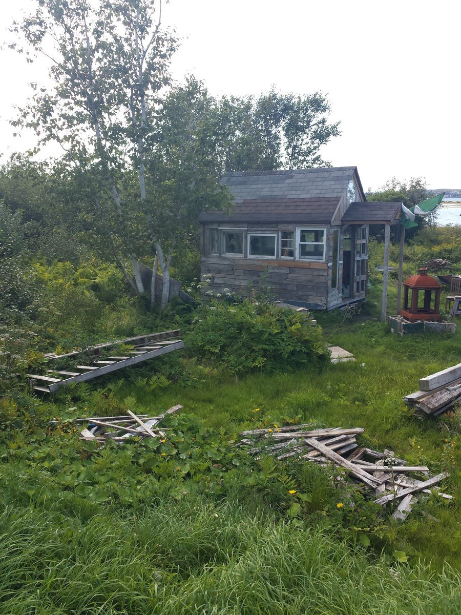 Southbarguy's tweet photo. Had a really great day! Went for a #swim and then started working on the #roof of the #driftwood / #pallet #shed. Finished the #shingling the #roof #cap and I'll begin #caulking & #crackfilling over the next few days. #DIY #carpentry #roofing #reuse #recycle @ACAPCB #CapeBreton https://t.co/3wRXabYpzO