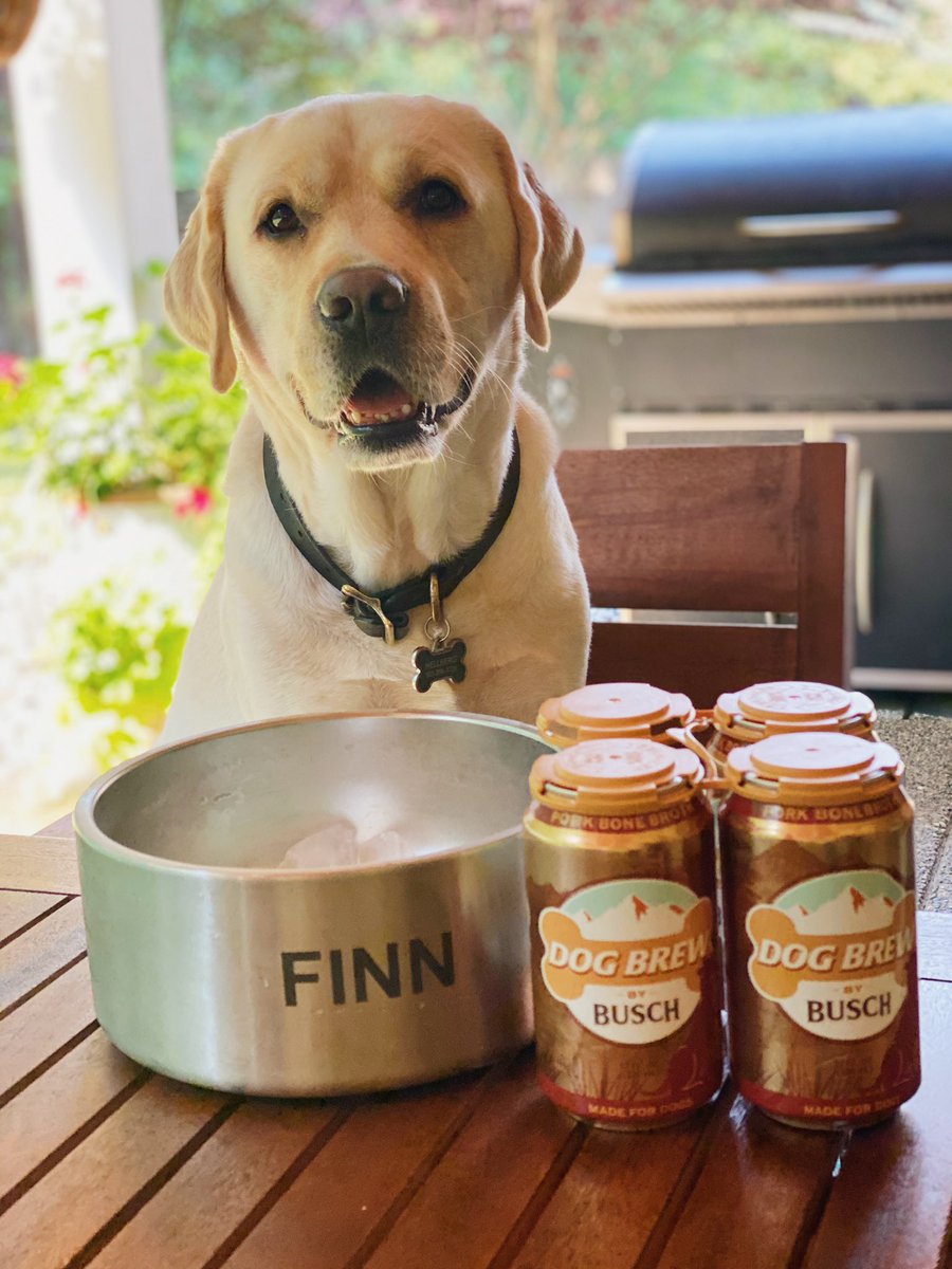 Hell_Boy_101's tweet photo. Finn enjoying his new brew @BuschBeer #BuschDogBrew . Happy Labor Day!🇺🇸🐶 🍻 https://t.co/RBoW8vOfXM