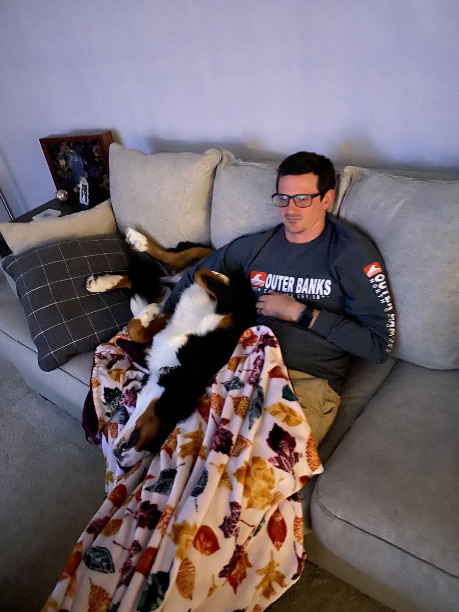 edamamell's tweet photo. wow guys. i love having a dog. i love that he keeps me active, keeps me laughing and he’s the best thing to wake up to in the morning ! #myfirstpup #bernesemountaindog #eightmonths #80lbs https://t.co/VN58yD2poj