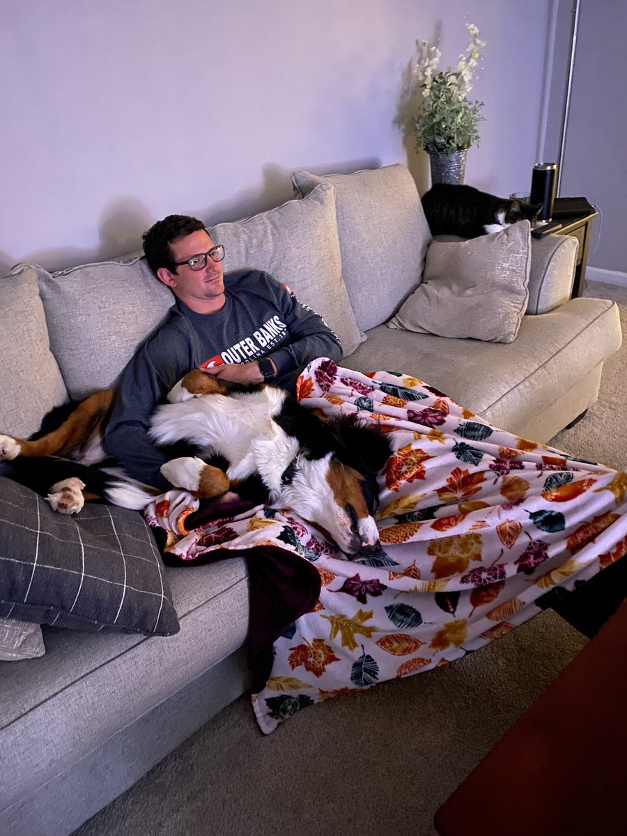 edamamell's tweet photo. wow guys. i love having a dog. i love that he keeps me active, keeps me laughing and he’s the best thing to wake up to in the morning ! #myfirstpup #bernesemountaindog #eightmonths #80lbs https://t.co/VN58yD2poj