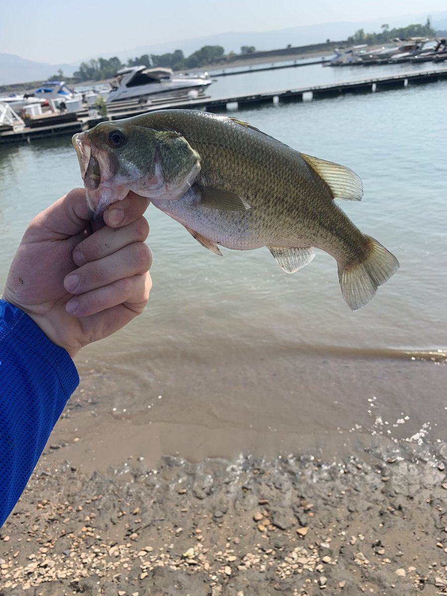 AddictsBass's tweet photo. Got us a little chunk today https://t.co/F7fAUuCVP3