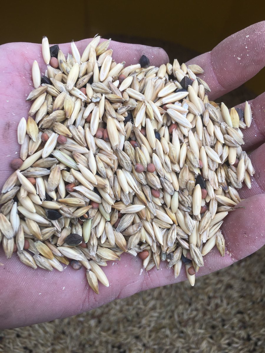 EdJHanson's tweet photo. #biostriptill #ontag https://t.co/PTqJavxHoK