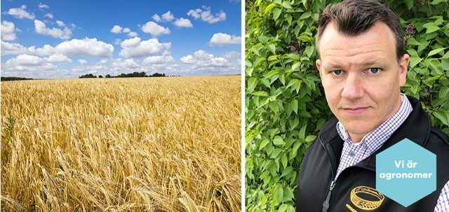 Ett starkt varumärke får inte urvattnas naturvetarna.se/vi-erbjuder/ti…

#agronom #slu #naturvetarna