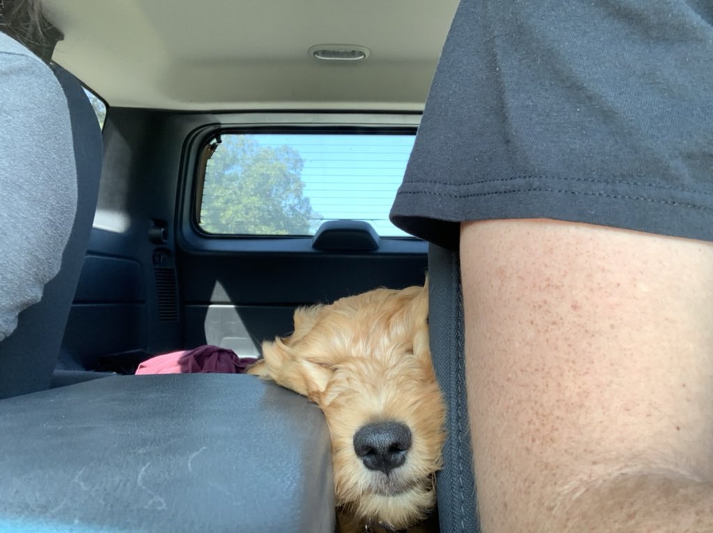 Jenna Vickers tweet media