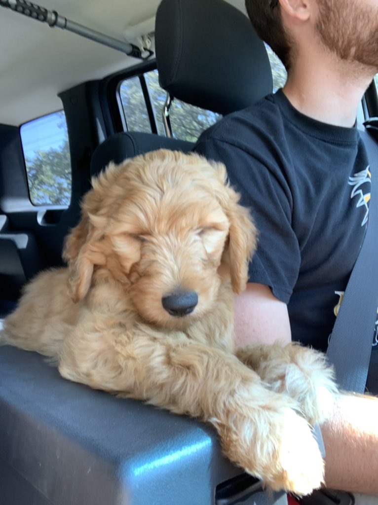 Jenna Vickers tweet media