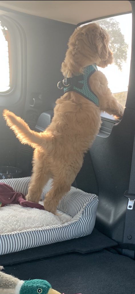 Jenna Vickers tweet media