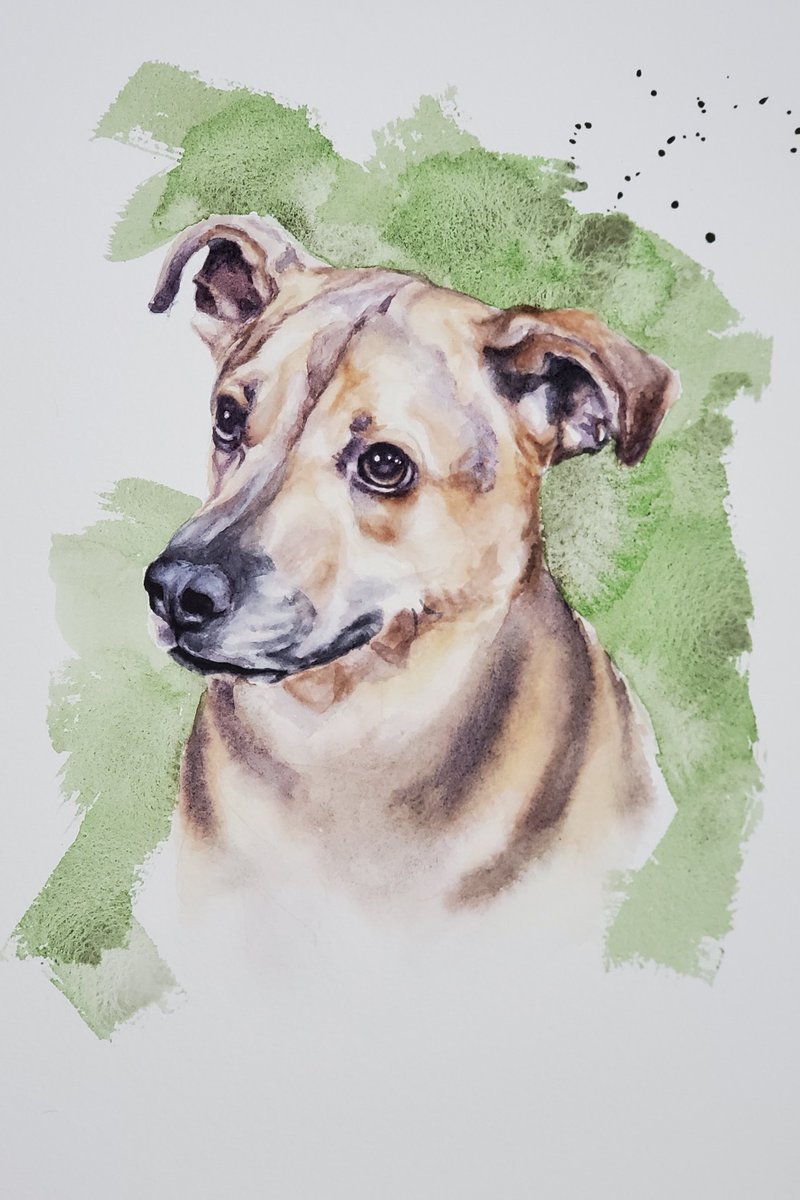 artful_turkey's tweet photo. Finished a little while ago
#art #watercolour #painting #commissionsopen #dogsoftwitter #twitchstreamer #twitch https://t.co/AouPN0vXaC