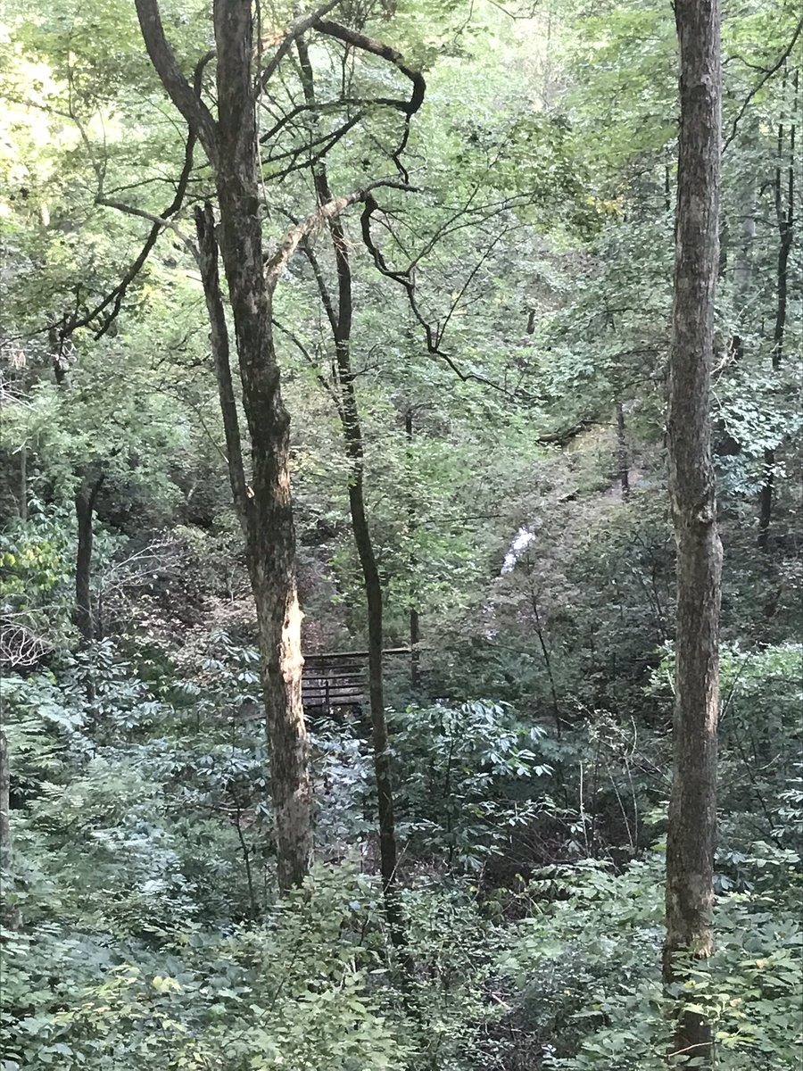 Beast502Mode's tweet photo. #NatureBeast
The Thread: https://t.co/TlsUjCLWuA