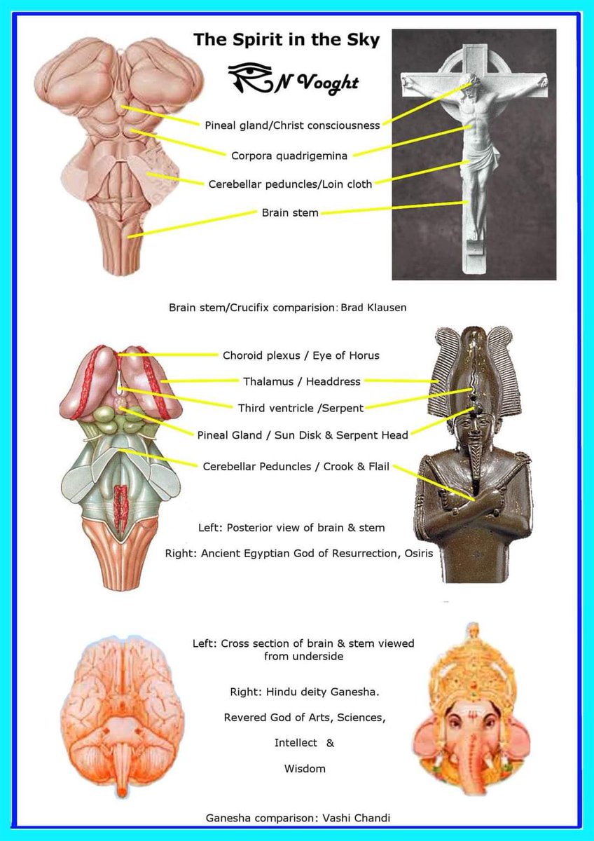 Different book,Same page.Ha-Adam or The Adam (Atom) - was made from Ha-Adam-AH - or the very Earth/Dust given life.  The Hebrew word “Tselem” means “Image or Likeness” - meaning we are made in the image/likeness of the Creator - and the Creator is in the very dust of the