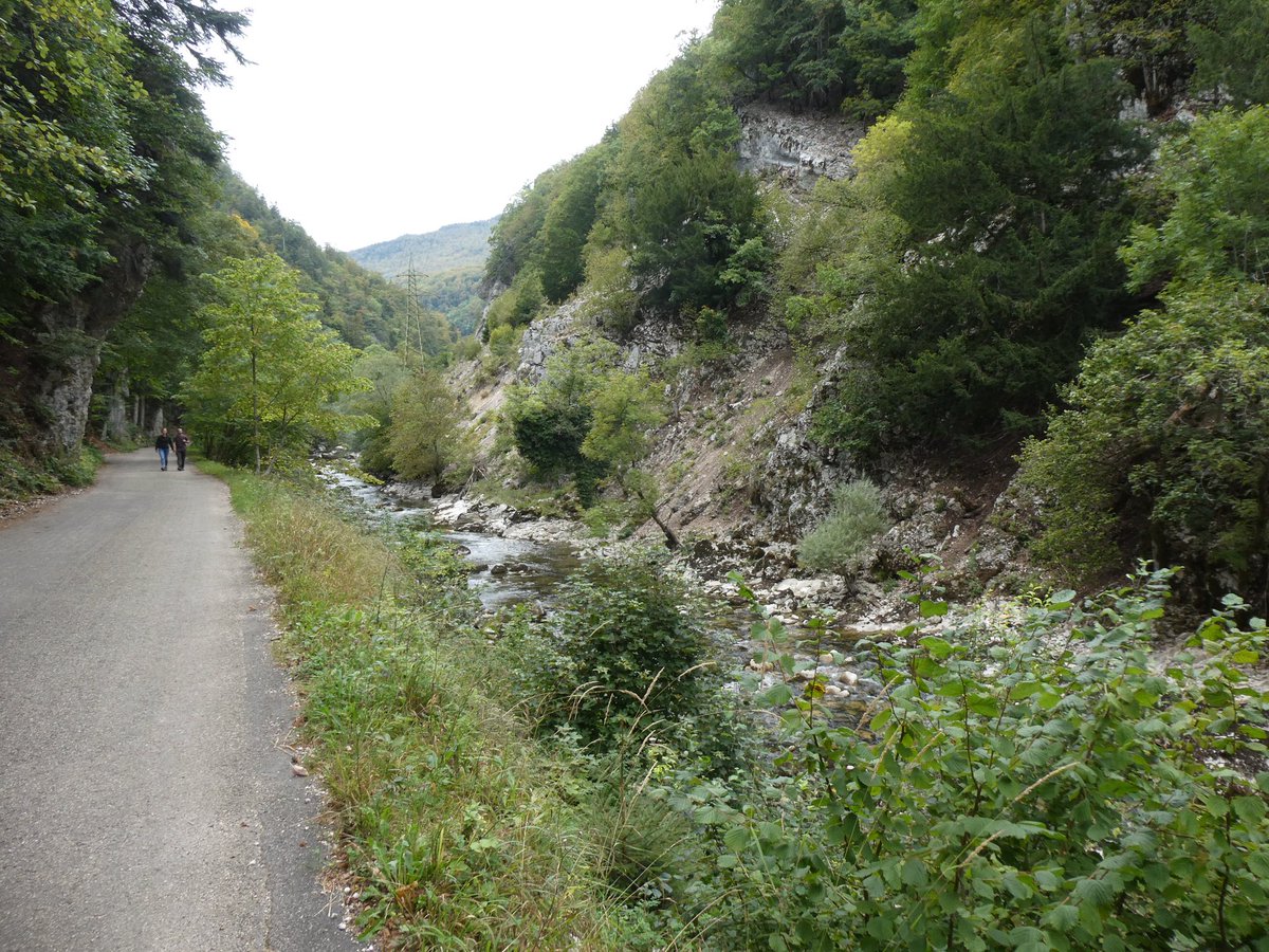 redtestwine's tweet image. อากาศเริ่มเปลี่ยน มืดเร็วขึ้น สว่างช้า
พรุ่งนี้ มีงานเช้า ต้องรีบตื่น อาการง่วงนอนคงยังมี

Gorges de l’Areuse
#Boudry
 #Switzerland