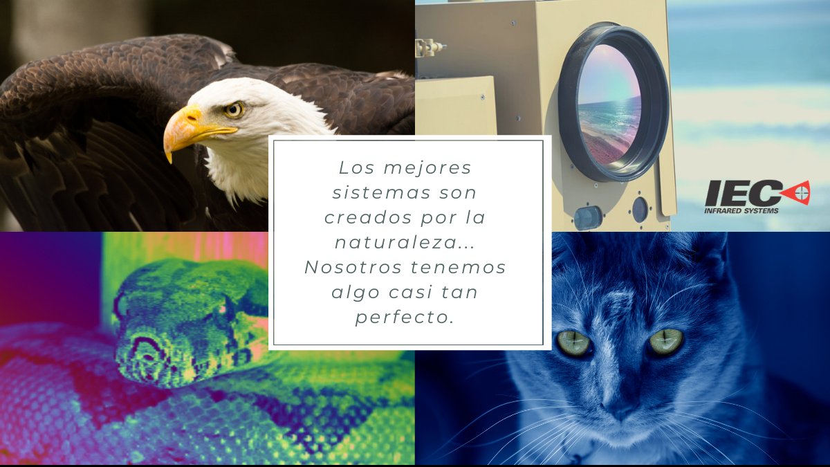CirtecMx's tweet photo. Una una opción ideal para #sistemaspenitenciarios, seguridad en las #fronteras, #aeropuertos, #refinerías, #plantasdepoder, #minas y #plataformaspetroleras.

Mayor información:
contacto@cirtec.mx
Tel. 55 4609 7188
WhatsApp: 55 6286 9403
#cirtecmx #IECinfrared #Seguridad #tech https://t.co/t9cGZjzEmn