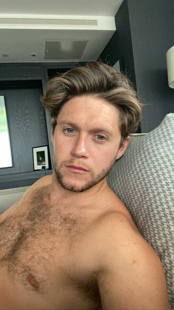 wshe91's tweet photo. no sé ustedes, pero yo eSTOY AGRADECIDA DE VIVIR EN LA MISMA ÉPOCA QUE NIALL HORAN, ES QUE ES HERMOSO, LLORO 
STREAM NICE TO MEET YA 
#NTMYTO50M https://t.co/iIIV93ELex