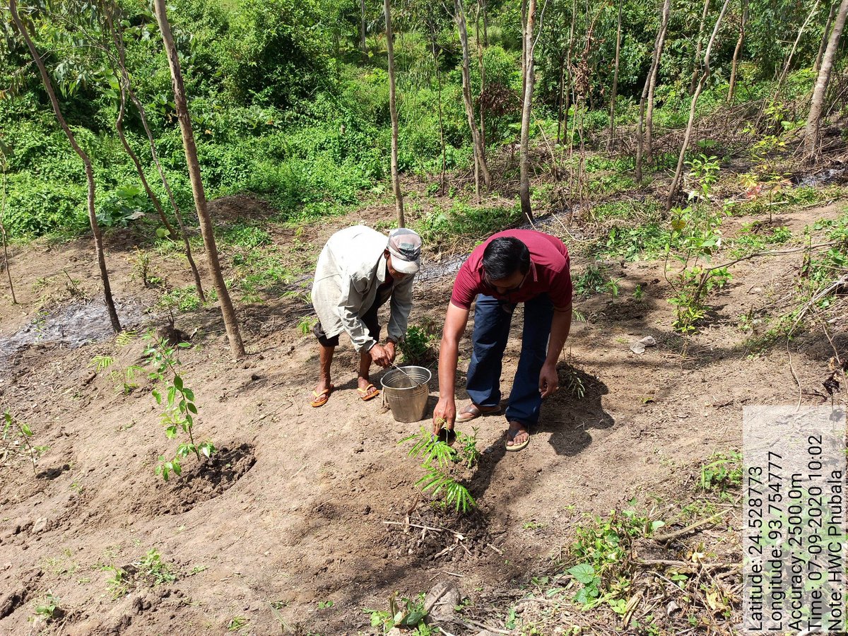 helenatakhella3's tweet photo. observing International day of clean air for blue skies  AB_HWC Phubala @AyushmanHWCs @USAID_NISHTHA @mono_ng @MoHFW_INDIA @LJayantakumar @Vumlunmang @Jhpiego @cleanairdayuk activities orientation of Staffs awareness campaign wt tree plantation&amp; mask distribution tied upwt local https://t.co/rFfCBVc3Hr