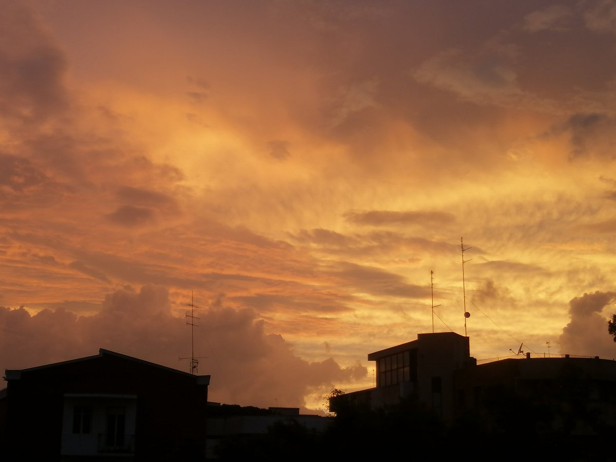 Сэвжид (@sevjid99) on Twitter photo 