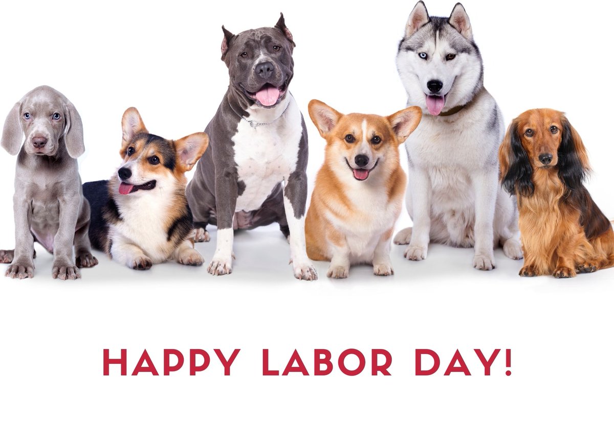 Lynchburger Pet Products tweet media