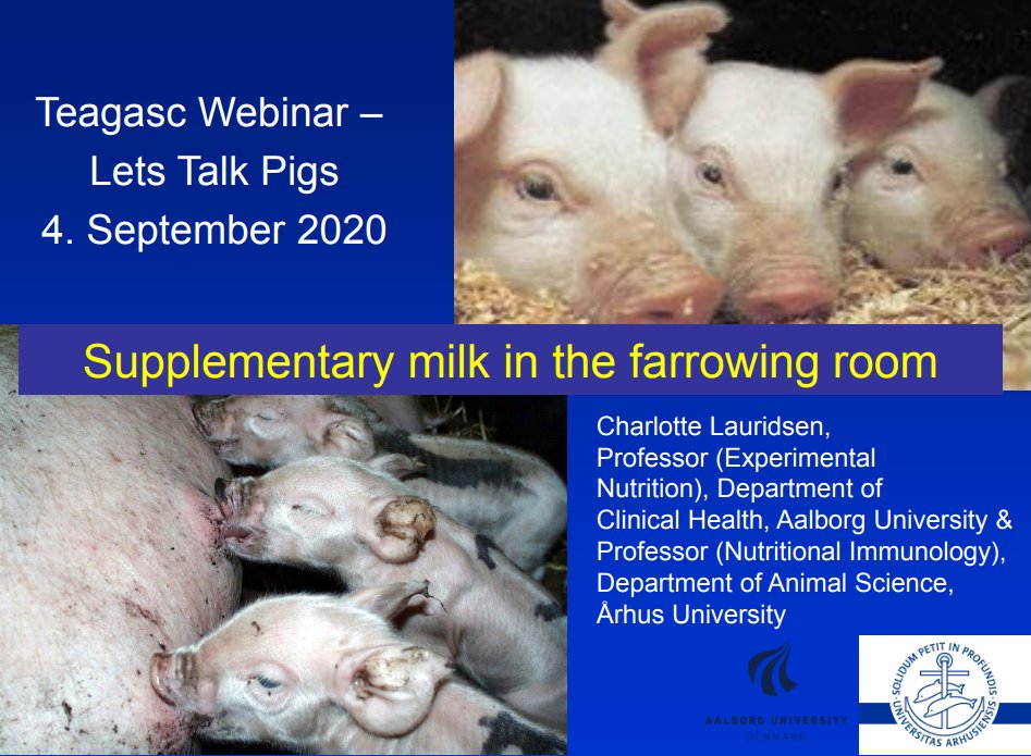 teagasc's tweet photo. On the final webinar in the #LetsTalkPigs series, host Ciaran Carroll, Head of @TeagascPig KT was joined by guest presenter Charlotte Lauridsen who discussed supplementary milk in the farrowing room. View the presentation & recording here https://t.co/wOtqupIsUq #TeagascDaily https://t.co/y8EJay4cFV