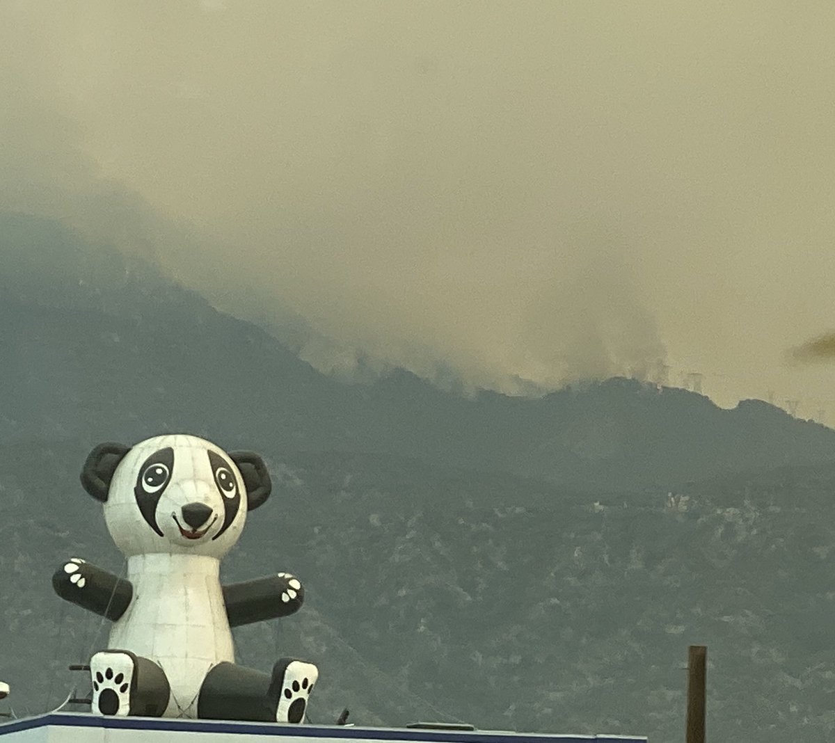 clearly_human's tweet photo. Flames from #bobcatfire as seen from the 210 freeway. https://t.co/lFxcIIDDTb