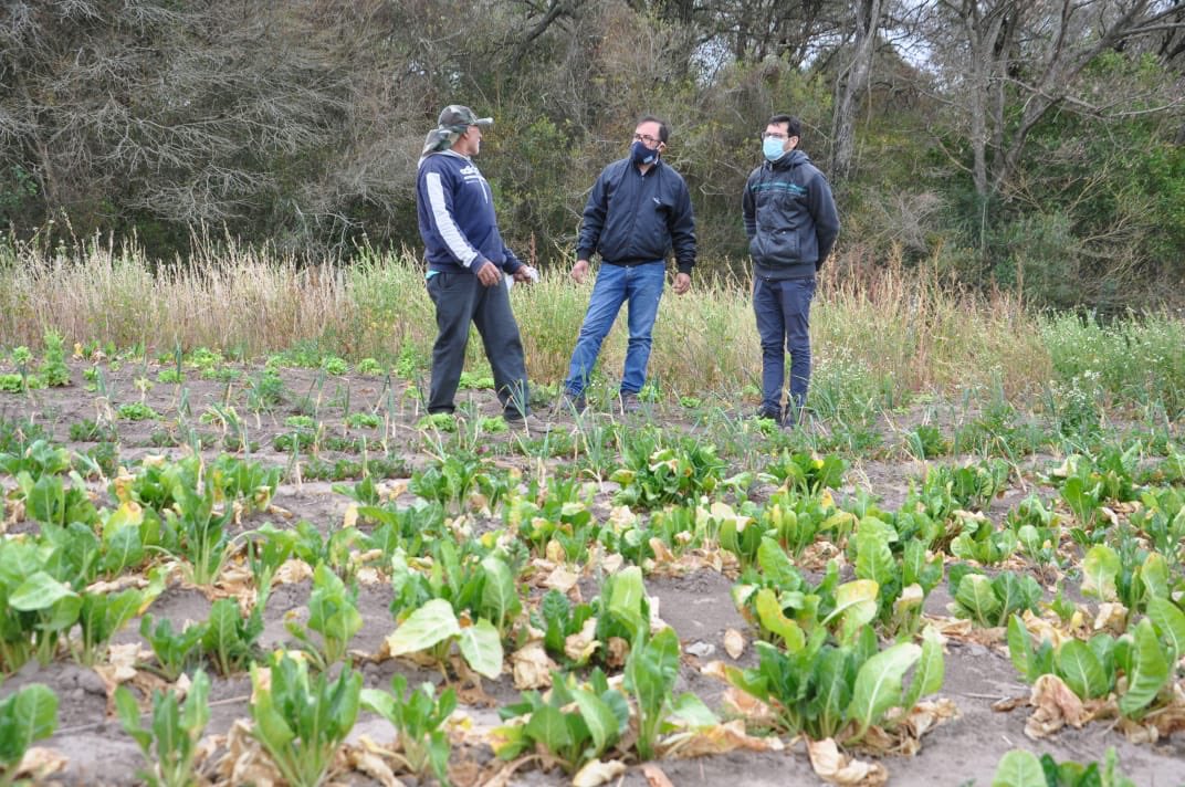 Visite al productor Héctor Mol de Colonia el Cacique, realice la entrega de un motor, mangueras y todo los elementos para iniciar la construcción de un Invernaculo, es una inversión que se realiza desde el municipio para apuntalar la actividad de esta familia. <a href="/sergiomarozzi/">Sergio Marozzi</a>