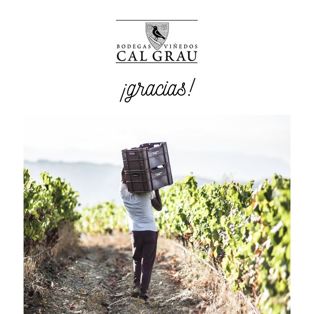 VinosIberian's tweet photo. Una #vendimia que se acaba. Con esta imagen de nuestros viñedos de #CalGrau queremos agradecer a todos que con su duro esfuerzo que lo han hecho posible. 

@doqpriorat #harvest #LesOnes #Badaceli#LaPetiteAgnes #garnacha #samso #wine #winelover #handharvest #licorella #pizarra https://t.co/GNPihiUEp2