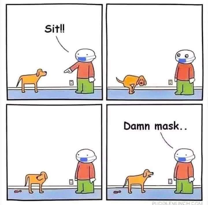 iandalon's tweet photo. Telling your #dog to do tricks with the #facemask on is not an easy job. https://t.co/OCw4vgzHTn