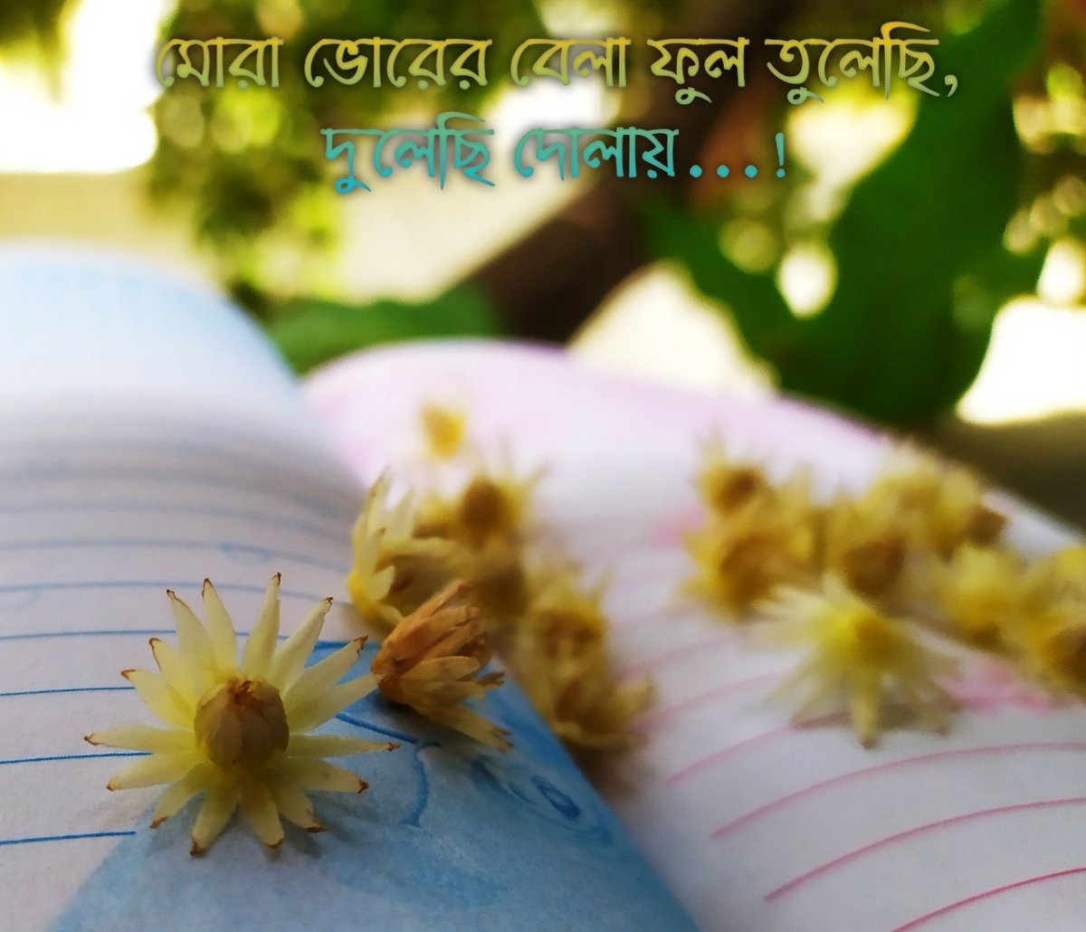 HumairaIslam11's tweet photo. ......... https://t.co/n33TS3SMkb