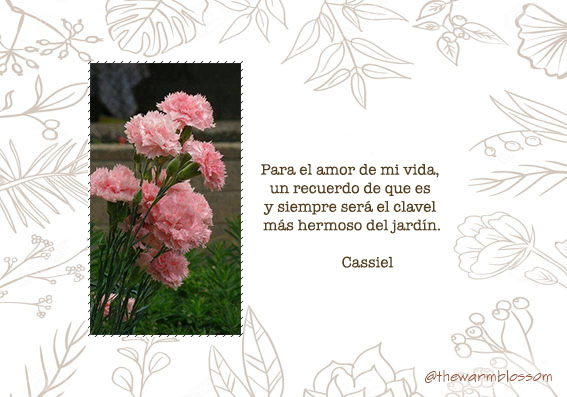 thewarmbloss0m's tweet photo. 💌 ¡Alguien ha pensado en ti! Traemos este detalle para @refacromatico, de parte de una persona muy especial ❤️✨

Gracias por la confianza,
wb https://t.co/MuesRzV8ZZ