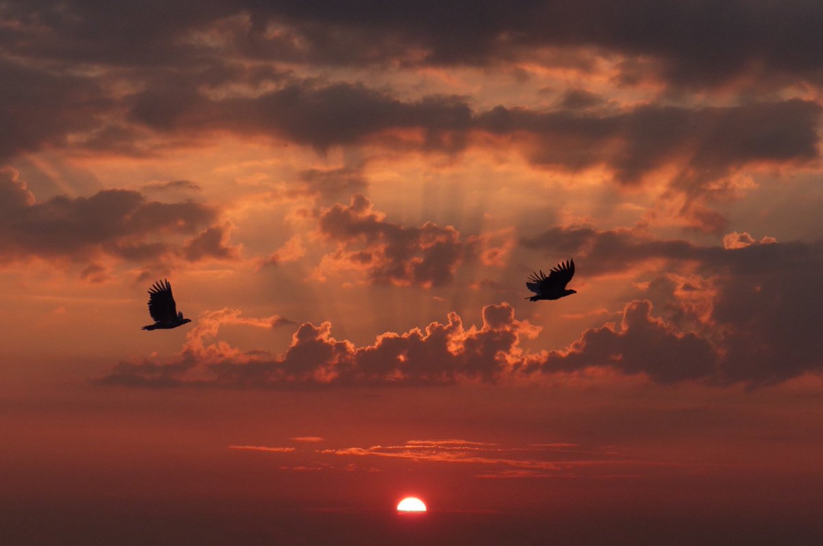 Sunsets leekstermeer 😎 @Helgavanleur <a href="/WNLVandaag/">WNL Vandaag</a> <a href="/BuienRadarNL/">Buienradar</a> 
@Tvnoord 
@Dvhn_nl
