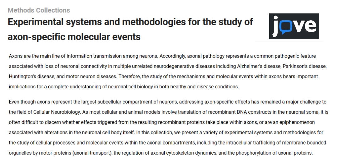 AutonomicAus's tweet image. A @JoVEJournal #labmethods collection on #molecularbiology of #axons is being edited by @AndrewTosolini, @J_N_Slayer &amp;amp; @SchiavoMNPlab, at @UCLIoN &amp;amp; @UKDRI, and Gerardo Morfini, at @thisisUIC.

jove.com/methods-collec…

#labprotocols #videojournal #axonal #neurobiology #cellbiology