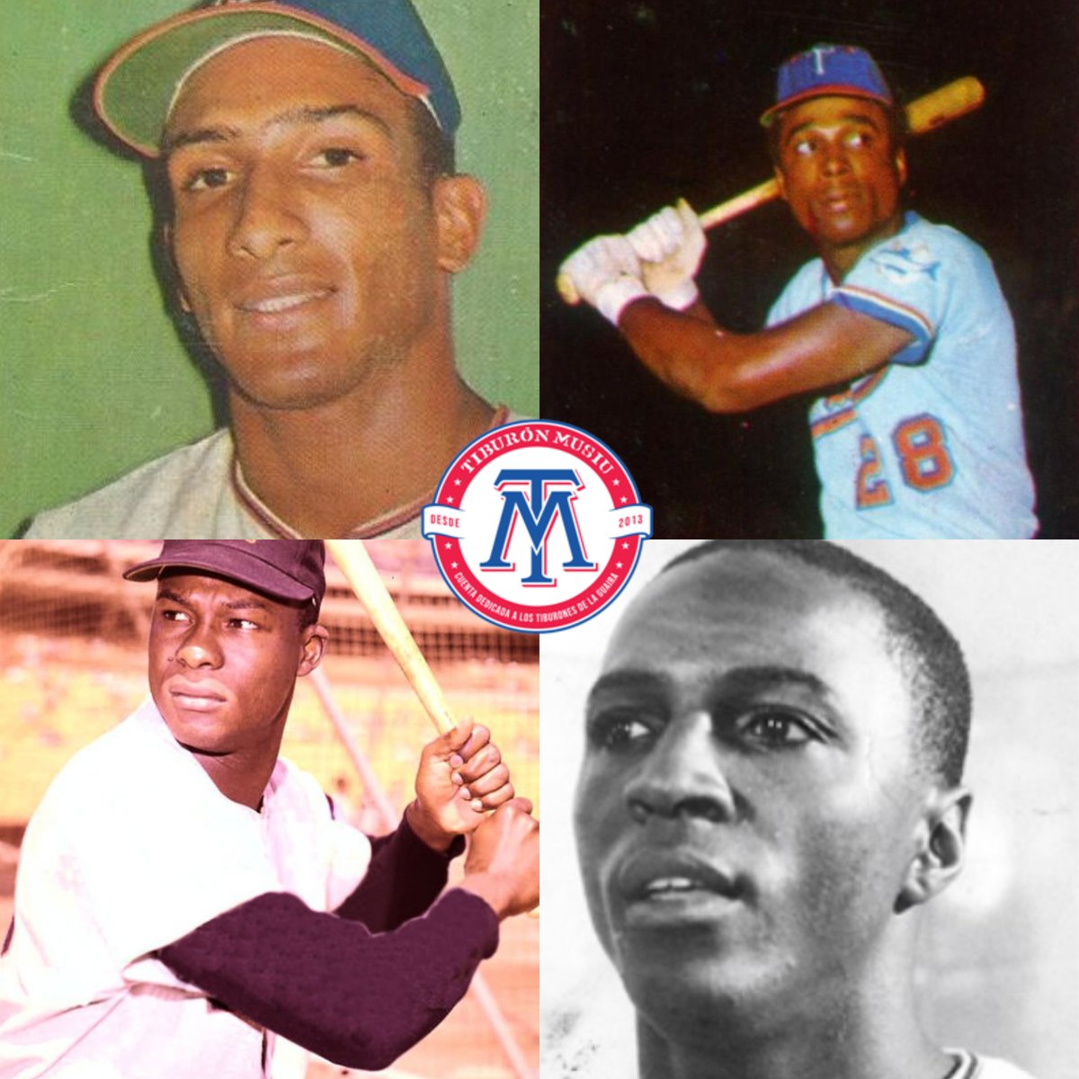 tiburonmusiu's tweet photo. JARDINERO FORÁNEO de #Tiburones de La Guaira en el lapso comprendido entre 1962 y 1980. Vota por tu favorito del Pool D:

Adolfo Phillips 🇵🇦
Ivan Murrell 🇵🇦
Dave Roberts 🇵🇦
Lou Johnson 🇺🇸

#AdolfoPhillips #IvanMurrell #DaveRoberts #LouJohnson #LaGuaira #PaEncima https://t.co/loaixmevKj