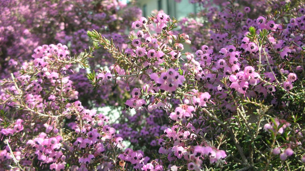 tanosiisupi_bot's tweet photo. A greater power than the self I call "me" is sleeping within.

「これが自分」と考えている自分より偉大な力が内側に眠っています。
#GodGiven #天与
https://t.co/UjnpoVrAT9