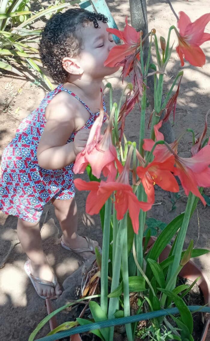rocha's tweet photo. A minha mais linda beija-flor😍😍😍 https://t.co/0NLpmjwacl