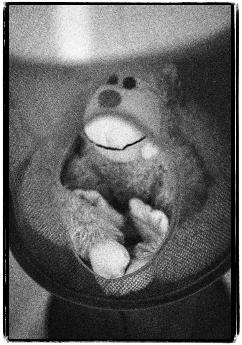 IOP_Online's tweet photo. Kodak Tri-X 400 ASA/ISO - Pushed
Exposed 1600, deved for longer to compensate for underexposure
Nikon EM, 50mm f/1.8
Border in Photoshop
#blackandwhite #bw #filmisnotdead #film #grain #filmphotography #35mmfilm #analog
#Nikon
#EM
#kodak
#400ASA
#TriX
#KodakTX
#pushprocessed https://t.co/cFp4dUVaiu
