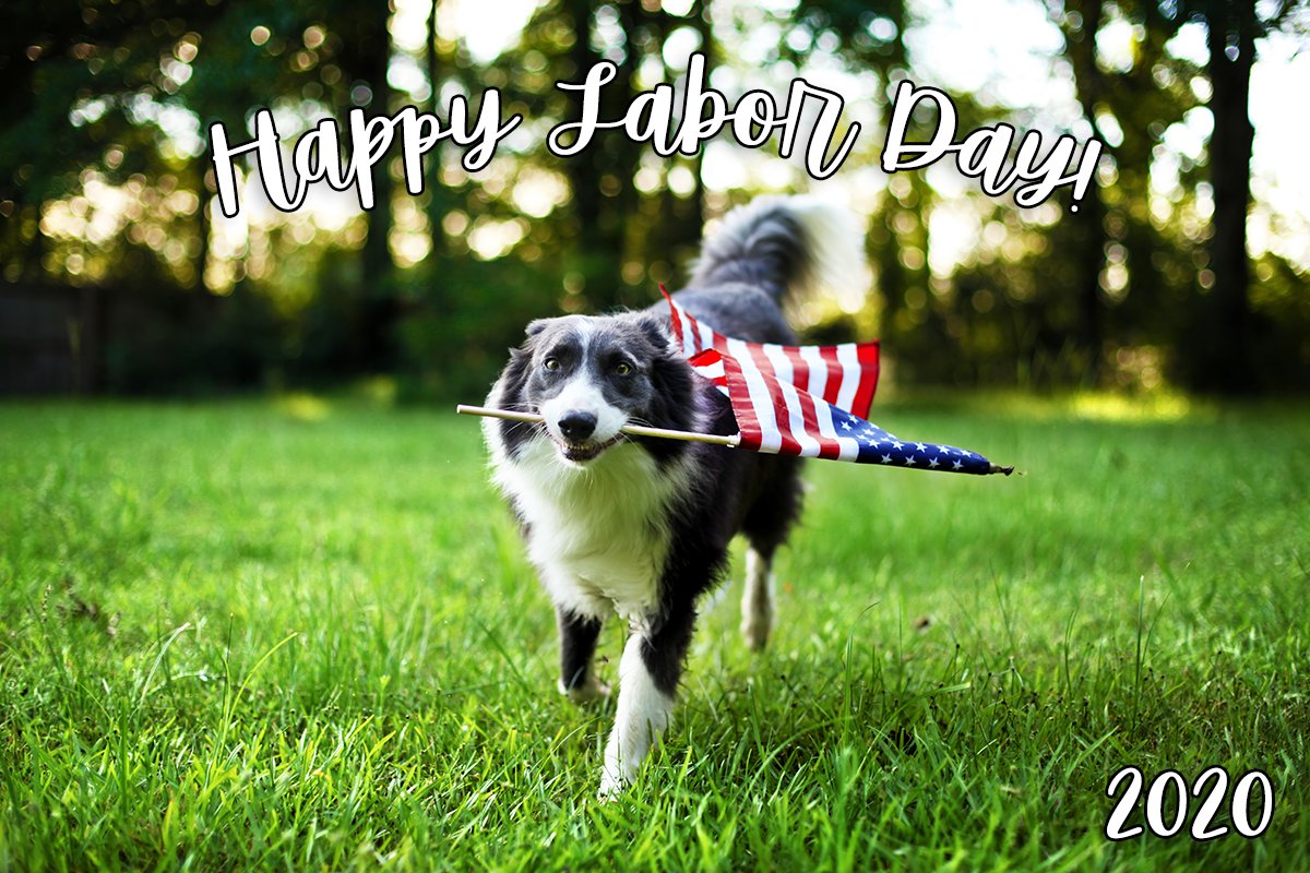 DicksBBQindy's tweet photo. Happy Labor Day!
-
We are open for Dine-in, Carry-out and Delivery
-
#IndianapolisIN #BBQ #goodeats #localeats #DicksBodaciousBBQ #Foodie #Eeeats #Beer #LocalEats https://t.co/D3bWLLI5cU