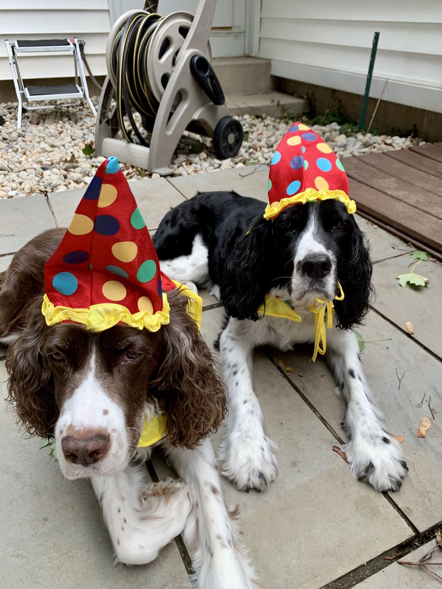 Happy 11th birthday to Jack &amp; Jake