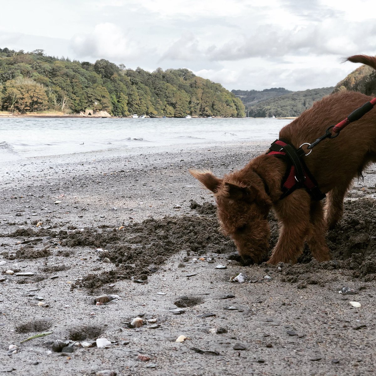 Matt Manners (@matt_manners) on Twitter photo 