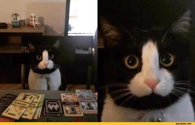 Hep Allah yazacak değil ya 😁