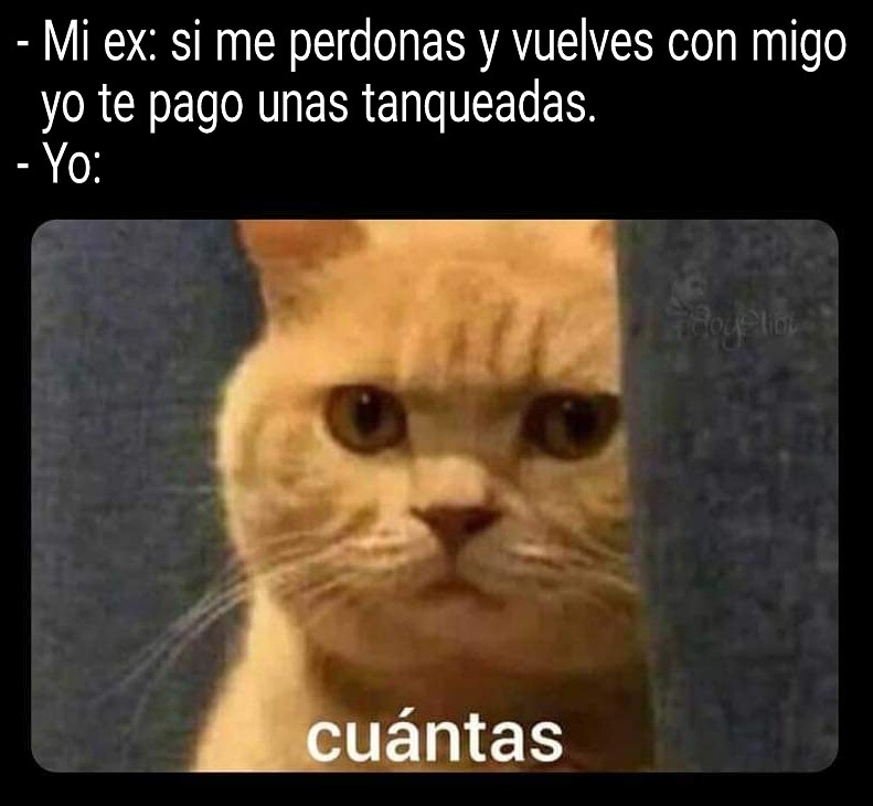 TuningExpress01's tweet image. Depende cuantas sean y de cuanto 😂😂😂😂
#tuningexpression @TuningExpress01